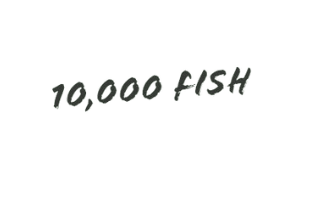 10,000 Fish