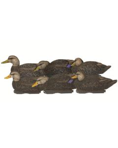 GHG Pro-Grade XD Series Black Duck Decoys - Harvester Pack (1/2 dozen)