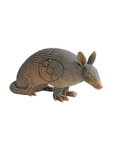 Big Shot Targets Real Wild Competition Armadillo with EZ Pull Foam