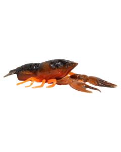 Tackle HD Craw - 3" - 8 Pack