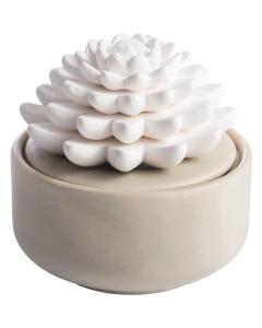 Candle Warmers Succulent Porcelain Passive Diffuser